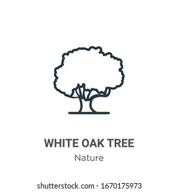 Icono vectorial de contorno de roble blanco. Icono de árbol de roble blanco y negro de línea delgada, ilustración de elemento simple vectorial plano del concepto de naturaleza editable trazo aislado en fondo blanco