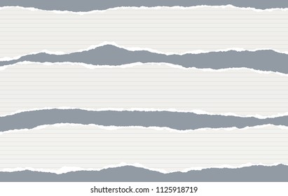 White oblong lined paper strips with torn edges in horizontal position, paper for note are on gray background. Vector illustration