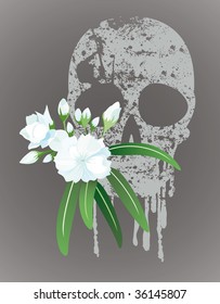 white oleander