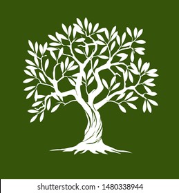 White Olive Tree on green background. Vector Illustration and concept pictogram. Plant in garden.