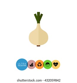 White onion bulb icon