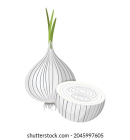 White onion. A sprouted onion and an onion cut in half. Vector illustration isolated on a white background for design and web.