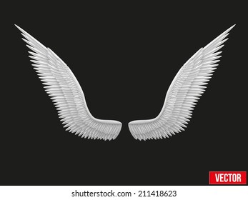 White open angel wings. Vector Illustration isolated on black background.