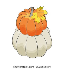 Calabazas de otoño blancas y naranjas. Ilustración vectorial.