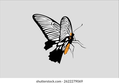 white orange butterfly vector illustration