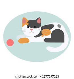 White and orange cat 