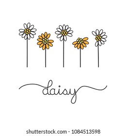 White and orange daisy flowers, vector graphic illustration. Hand drawn daisies with writing daisy. 