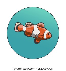 White And Orange Strip Clown Fish Vector On Gradient Circle With White Background