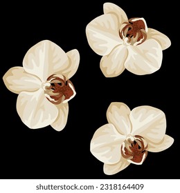 Weißorchester 
Weißes Orchideendesign in Vektorgrafik. Design für T-Shirt und Kleidung, Illustration, Buch und Hintergrund.