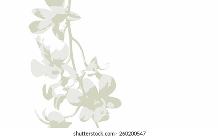 white orchid flower with 3 colour filter vector
