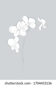 White orchid Flower Flat Icon. One line drawing art. Abstract minimal sketch. Vector illustration