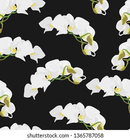 White orchid flower seamless pattern, flat watercolor style, black background. Repeat pattern with tropical flower house plant. Great for fabric, textile, wrap, print, wallpaper, surface design.