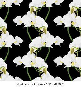 White orchid flower seamless pattern, flat watercolor style, black background. Repeat pattern with tropical flower house plant. Great for fabric, textile, wrap, print, wallpaper, surface design.