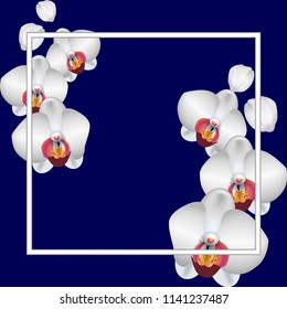 White orchid flowers and buds for greeting card
