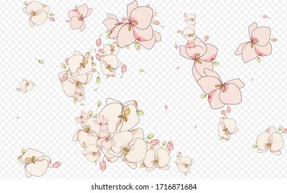 Fondo transparente del vector de la planta Orquídea Blanca. Decoración Tropical De Comidas. Plantilla de resumen de la rama roja. Diseño de verano floral.