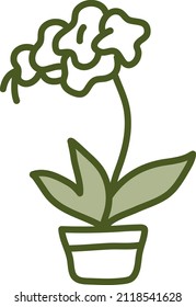 White orchid in pot, illustration, vector on a white background.