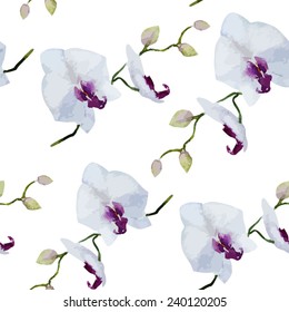 white orchid watercolor pattern vector