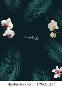White orchids. Flowers. Tropical background. Petals. Floral background. Palm leaves.