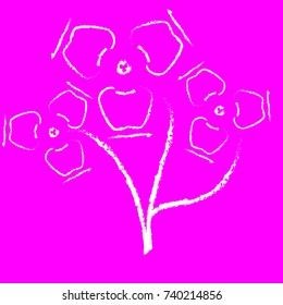 White orchids on a pink background. Vector illustration.