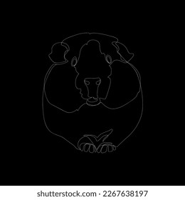 White outline cute guinea pig on black background. Graphic drawing. Vector illustration.