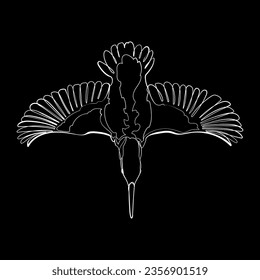 White outline diving kingfisher on black background. Graphic drawing. Vector illustration.