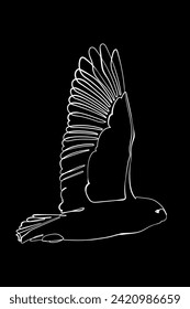 White outline flying snowy owl (polar owl) on black background. Graphic drawing. Vector illustration.
