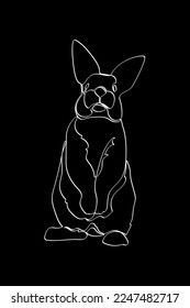 White outline rabbit on black background. Graphic drawing. Vector illustration.