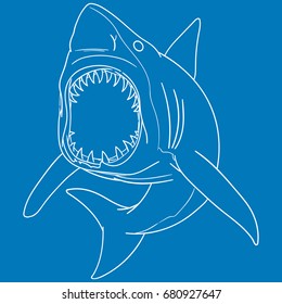White outline shark in the blue background. Isolated. Vector. Thin line.