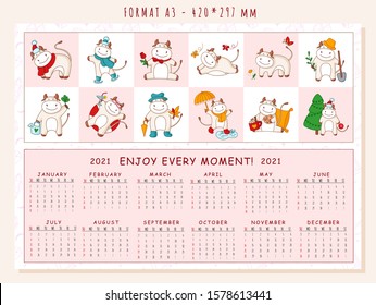 White ox calendar or planner A3 format for 2021 with kawaii cartoon ox, bull or cow, symbol of new year, cute characters - Cover and 12 monthly pages. Week starts on sunday, vector editable template