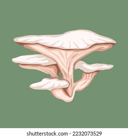 White oyster mushroom vector illustration isolated on green background. Wild plant drawing with cartoon flat art style.