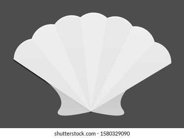 White oyster shell on white background.