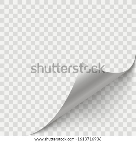 White page rotates bottom right on transparent background. Curved page corner with shadow. The element for advertising and advertising messages. Simple image insertion. Vector illustration, EPS 10.