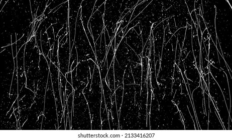 White Paint Splatter Isolated On Black Background. Distressed Overlay Texture. Water Splash Silhouette. Grunge Design Elements. Vector Illustration, EPS 10.