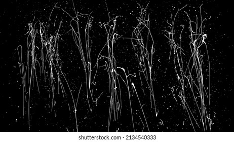 White Paint Splatter Isolated On Black Background. Distressed Overlay Texture. Water Splash Silhouette. Grunge Design Elements. Vector Illustration, EPS 10.