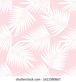 White palm leaves on pink background