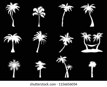 white palm tree icon on black background
