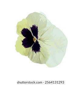 White pansy isolated on yellow background. White yellow violet pansy. Cortinarius violaceus, violet webcap, violet cort. Pansy viola cornuta tricolor, viola wittrockiana, violaceae, heartsease.
