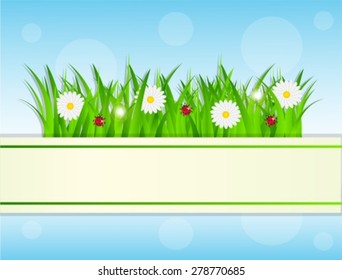 white paper background on the background of grass, flowers and sky