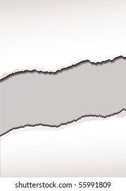 White paper background with torn or ripped edges and shadow