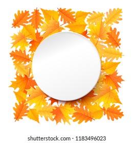 White paper circle with copyspace on yellow autumn leaves. Vector illustration. Autumn background for design