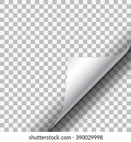 White paper corner on transparent background