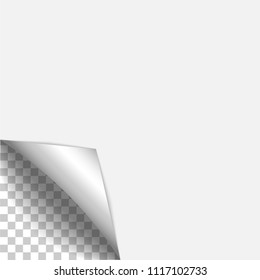 White paper curl with shadow. Page advertise, sticker. Element for promotional message isolated on transparent background. Vector frame for your business, design