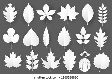 White paper cut autumn leaves set. 3d fall elements isolated on gray background.Vector illustration