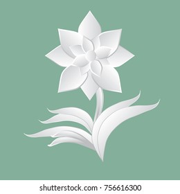 White paper flower, Vector illustration, art paper style.