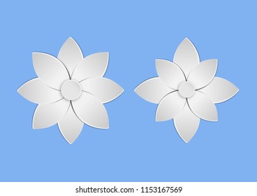 White paper flowers background, wedding decoration, bridal lace, floral design elements