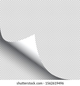 A white paper fold transparency 