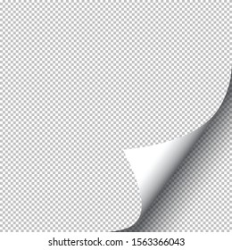 A white paper fold transparency 