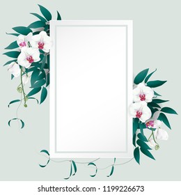 White paper frame for text decorated with summer green leaves and tropical luxury orchid named phalaenopsis orchid or moth orchid. Vector illustration.