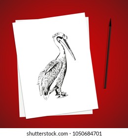 White paper list on red table and brushpen. Vector illustration. Simple template design. Mockup for sketches and drawings. Pelican nature art. Bird image.