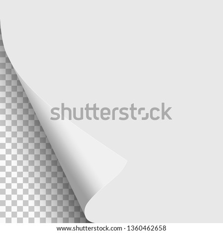 White paper with lower left curled corner and transparent next page. Vector paper template.